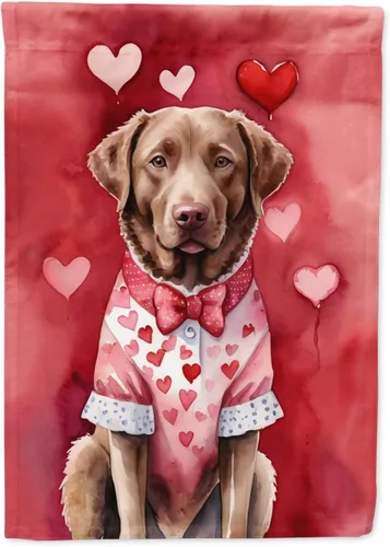 Vista 57 de Caroline's Treasures DAC5252GF Affenpinscher - Bandera de jardín con texto en inglés "My Valentine", bandera decorativa para patio exterior, patio