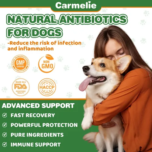Vista 4 de Antibióticos naturales para perros – Antibióticos para perros, suplementos nutricionales para problemas de piel, alivio de picazón, suplemento