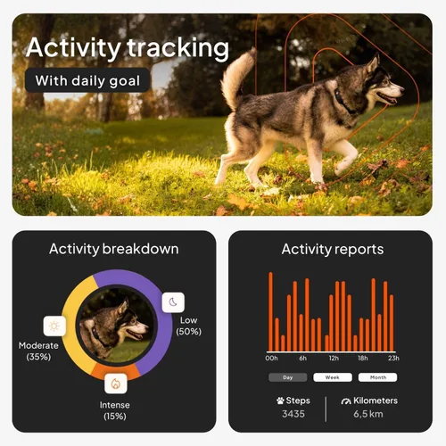 Vista 4 de Weenect Dog XT - Nuevo collar GPS para perros Antena XL Impermeable Collar Julius-K9 integrado ultra duradero Requiere suscripción