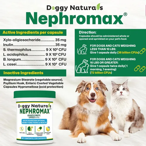 Vista 2 de NEPHROMAX™ Cápsulas Synbiotic para soporte renal para perros y gatos – 36 mil millones de CFU avanzada de próxima generación de mezcla