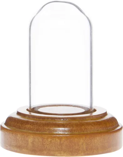 Vista 6 de Plymor Miniatura 1" x 2" Mini Cúpula de exhibición de cristal TINY Cloche (base de chapa de madera negra)