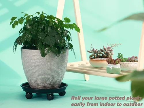 Vista 5 de Paquete de 5 organizadores grandes para plantas con ruedas de poliuretano, soportes rodantes de plantas de 12 pulgadas, base de rodillos de plástico