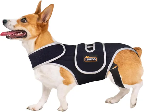 Vista 11 de IVDD Correa de espalda para perros con discos deslizados y herniados - Correa de espalda para Teckels y Corgis, asegurando estabilidad espinal