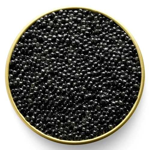 Vista 2 de Hackleback Black American Caviar - 17.6 oz / 500 g - Huevas negras Malossol Premium - GARANTIZADO POR LA NOCHE