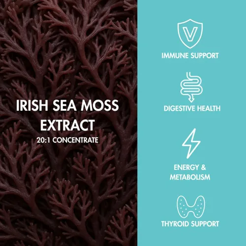 Vista 4 de Perform Gummys - Musgo marino irlandés - con raíz de bardana y vejiga para energía natural, apoyo digestivo e inmunológico - Deliciosa felicidad
