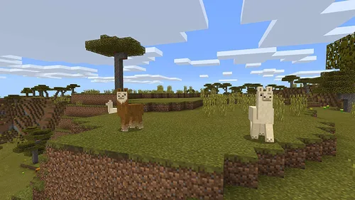 Vista 7 de Minecraft with Super Mario Mash-up - Nintendo Switch