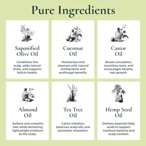 Vista 4 de J·R·LIGGETT'S Barra de champú – Fórmula de árbol de té, barra de champú sólida totalmente natural para cabello con aceite de coco y aceite