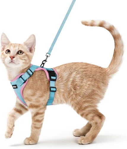 Vista 18 de rabbitgoo Cat Harness and Leash Set, Escape Proof Vest, XXS, Berry Pounce Soft Breathable Mesh, No-choke Adjustable Fit, Snap Buckles, Sturdy