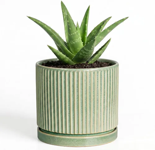 Vista 21 de 8 Inch Flower Pot, Ceramic Planters, Round Plant Pot, Beige