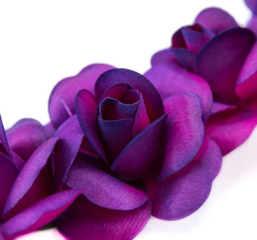 Vista 88 de 6 rosas de madera negras medio abiertas para manualidades, ramos personalizados y otros proyectos. 16 colores para elegir. Negro