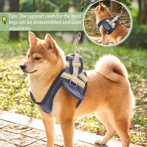 Vista 4 de Wheels - Silla de ruedas para perro, silla de ruedas para patas traseras, carrito ajustable para perro, sillas de ruedas para mascotas/perros