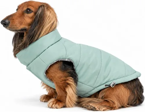 Vista 11 de DJANGO Abrigo de invierno reversible para perros con acolchado – Chaqueta de invierno cálida para perros y abrigo aislante repelente al agua