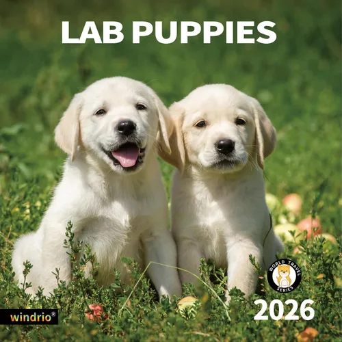 Vista 8 de Calendario de Pared 2026, Calendario 2026, noviembre de 2025 a diciembre de 2026, Calendario de Pared Beagles, 12" x 24" abierto, página completa