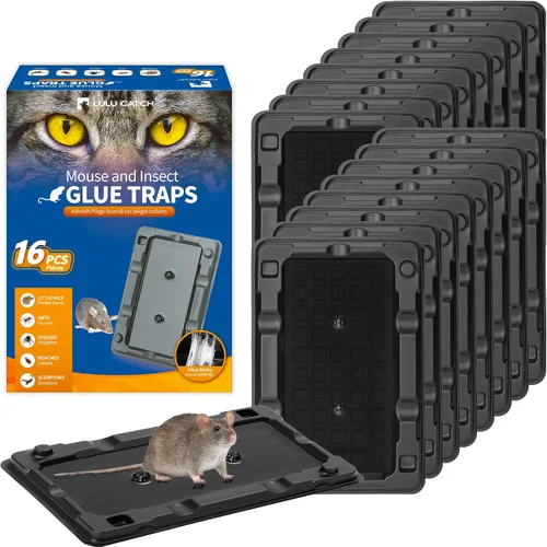 Vista 23 de LULUCATCH, trampas para ratones, 6 unidades de trampas grandes de pegamento para interiores para el hogar, tablas de pegamento a granel pre-cebadas