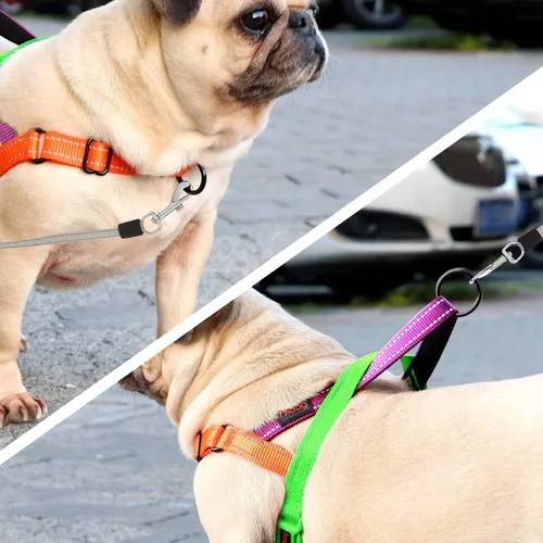 Vista 3 de Didog Arnés para perro sin tirones con asa acolchada suave, ajuste rápido y ligero, arnés ajustable de chaleco fácil para entrenamiento y paseo