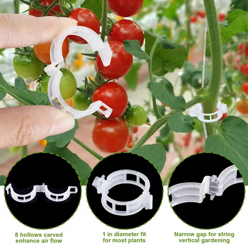 Vista 4 de 20 ganchos de tomate con cuerda, ganchos de soporte de tomate, ganchos de soporte de tomate y clips de soporte para plantas con cordel de 33.3 pies