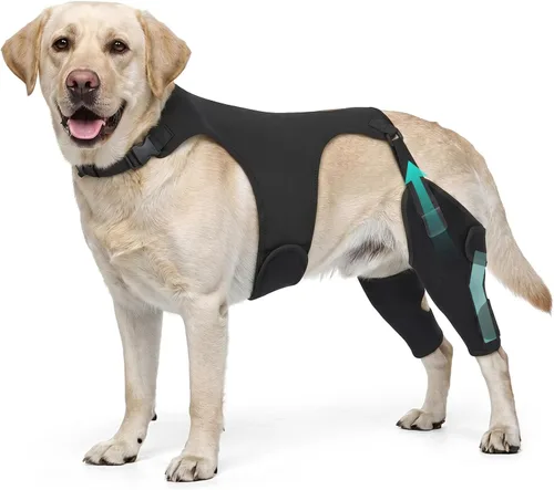 Vista 9 de Rodilleras para perro para soporte de pierna trasera, soporte ACL Negro