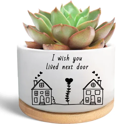 Vista 10 de Regalos inspiradores para mujeres, bonita maceta para suculentas, maceta de cactus para amantes de las plantas, regalo motivacional de animación