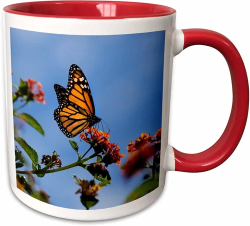 Vista 8 de 3dRose USA, California. Monarch butterfly on lantana flower. 15oz Two-Tone Black Mug
