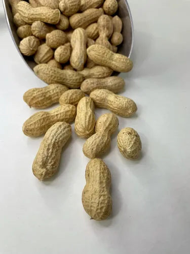 Vista 2 de Cacahuetes crudos prémium en cáscara para alimentación animal - 10 libras