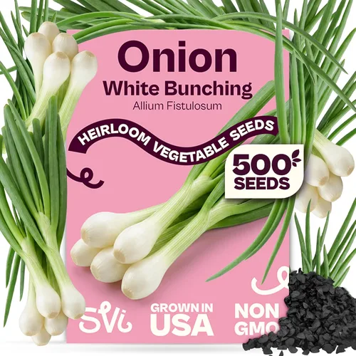 Vista 80 de Queen Anne 's Lace- 200 semillas – 50% de descuento venta