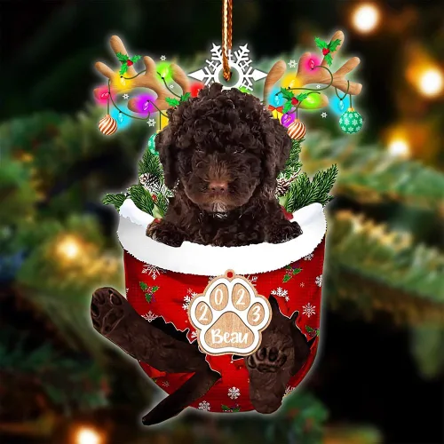 Vista 75 de NAZENTI Adorno Navideño de Bolsillo Personalizado de Affenpinscher en la Nieve, Adorno de Forma Acrílica de Perro, Adorno de Navidad 2023, Adorno