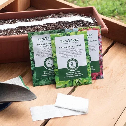 Vista 3 de Park Seed Sembrar Effortless Collection Cinta de semillas – col rizada mágica negra, 15 pies – fácil de plantar tú mismo, col rizada gourmet