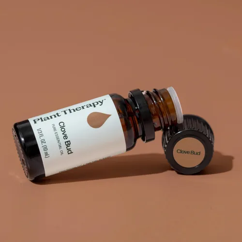 Vista 6 de Plant Therapy Aceite esencial de clavo de olor, 0.3 fl oz (1/3 oz), 100% puro, sin diluir, aromaterapia natural, apoyo inmunológico, alivio
