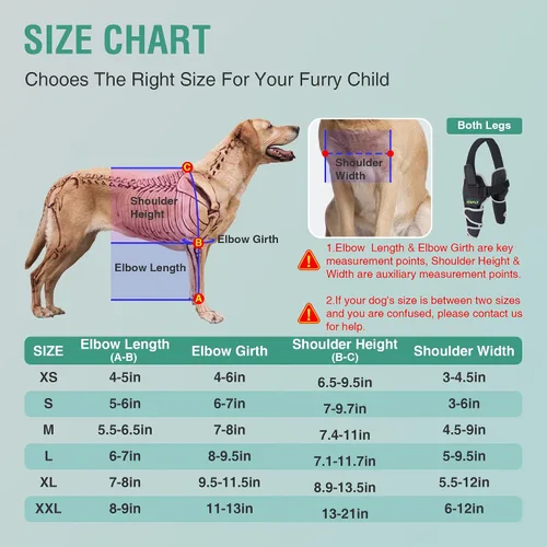 Vista 6 de Codera para perros gigantes, soporte para hombros y articulaciones para adultos mayores Diseñado para razas gigantes que necesitan apoyo adicional