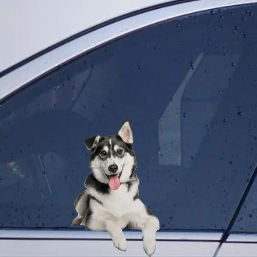 Vista 44 de Calcomanías de perro caniche, divertidas calcomanías de vinilo troqueladas para automóvil, laptop, parachoques Estilo-37