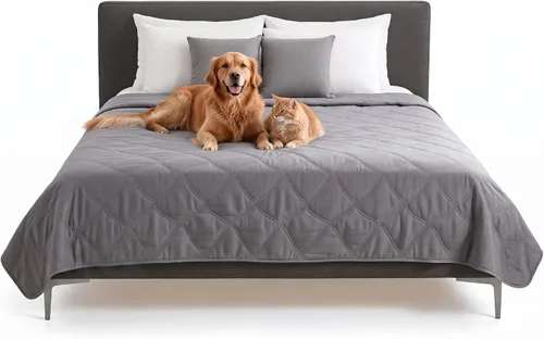 Vista 13 de Furhaven Funda Protectora de Colchón Impermeable y Antideslizante Tamaño Queen para Perros y Gatos, Lavable, Para Camas, Sofás y Asientos