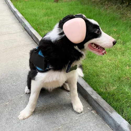Vista 3 de derYEP - Orejeras para perros para protección auditiva 29dB NRR, orejeras para protección contra el ruido (Mediano, Rosa)