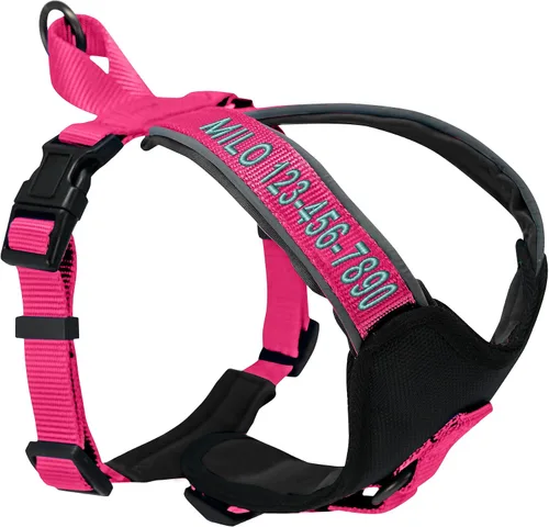 Vista 14 de Arnés para perro Pawtitas para entrenamiento de suave, ajustable, reflectante, acolchado para cachorros, Azul