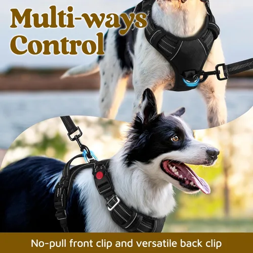 Vista 3 de rabbitgoo Arnés para perro de tamaño pequeño, chaleco para perro sin tirones con 3 hebillas, arnés ajustable y acolchado suave para mascotas con asa