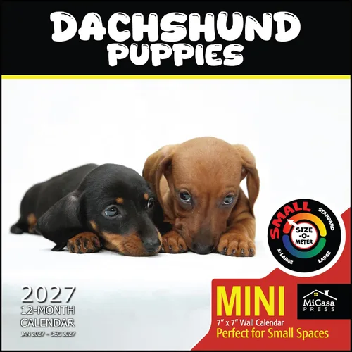 Vista 109 de MICASA PRESS Calendario de pared de Australian Shepherds Aussies 2027 02 - Pastores australianos