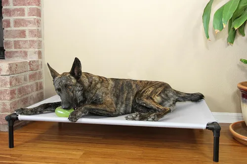 Vista 4 de Starmark Dog Zone Cama Mediana Sunset Gold