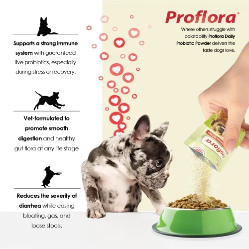 Vista 12 de Probióticos diarios y prebióticos para perros, apoya la salud digestiva y el sistema inmunológico, 30 sobres de polvo, 1.06 onzas (paquete de 1)