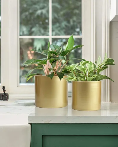 Vista 5 de Vixdonos Macetas de Metal para Flores Maceteros de Jardín Contenedores Redondos para Suculentas de Interior, Paquete de 2 Macetas para Cactus