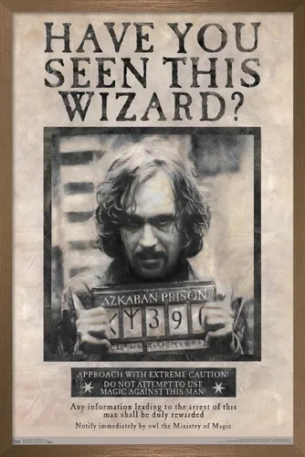 Vista 16 de Trends International El Mundo Mágico: Harry Potter - Póster de Buscado de Sirius Black, Póster de Pared, 14.725" x 22.375", Versión con Marco