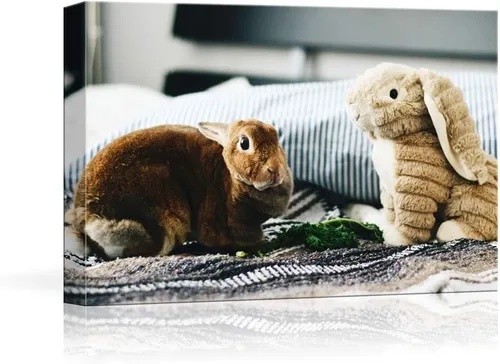 Vista 14 de NWT - Fotografía personalizada sobre lienzo con diseño de mascota y animal