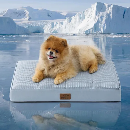 Vista 45 de Bedsure - Cama ortopédica pequeña para perros chicos, impermeable, con funda extraíble lavable, tapete de espuma con forma de huevera para mascotas