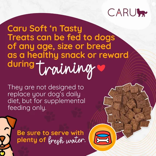 Vista 2 de Caru Soft 'n Tasty Baked Bites - Golosinas para perros, receta de cocodrilo, 3.5 onzas