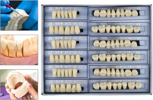 Vista 7 de 168 piezas dentales de resina sintética dentales dentales 3 juegos de dientes falsos 23 A3 sombra superior inferior dental para dientes de terror