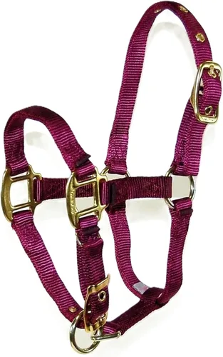 Vista 21 de Hamilton Deluxe - Caballo ajustable, 100-200 libras, color negro Premium Quality 3/4" Triple Ply Nylon, Foal/Mini Horse, Adjustable Chin Strap