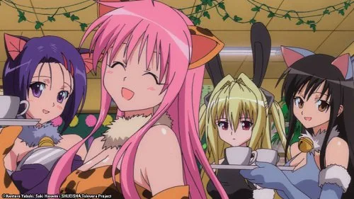 Vista 6 de To Love Ru The Complete Collection