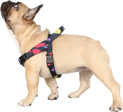 Vista 21 de iChoue Arnés para bulldog francés, ajustable, acolchado, hebilla bloqueada con asa para perros carlino francés, Boston Terrier inglés, azul, talla S