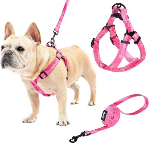 Vista 42 de Pupteck - Arnés para perros sin jalar, suave, ajustable, de nailon, talla básica, chaleco para cachorro, para caminar al aire libre con etiqueta
