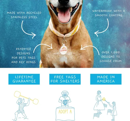 Vista 4 de Birthday Pug - Etiqueta de identificación personalizada de mascotas para perros, etiqueta de identificación de acero inoxidable con revestimiento