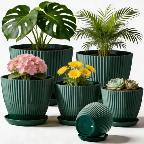Vista 7 de RooTrimmer Macetas de Plástico Engrosado Negro de 7.5 Pulgadas con Platillos, Paquete de 6 Maceteros Modernos para Plántulas para Plantas