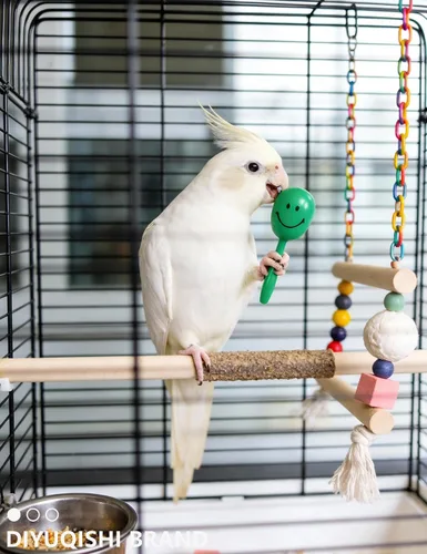 Vista 6 de Paquete de 18 bolas de ratán natural para pájaros, bolas de campana de plástico